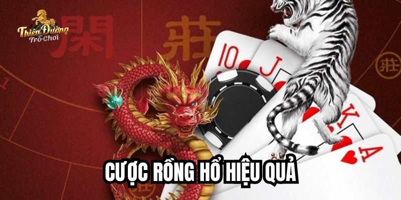 cược rổng hổ hiệu quả